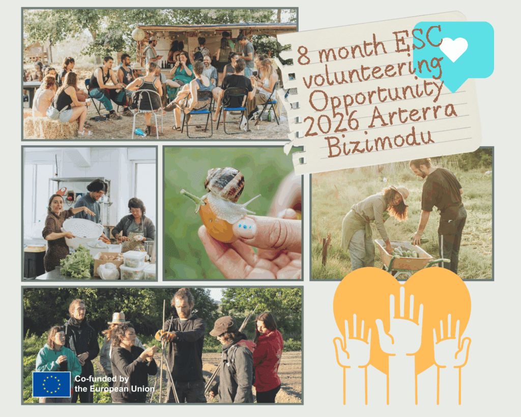 The call for long-term ESC volunteering in 2026 is now open!