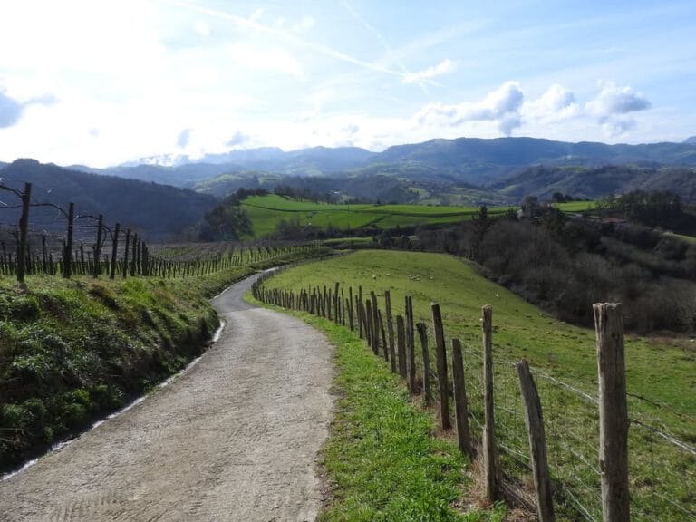 SAGE online workshop (Valuing Sustainability)